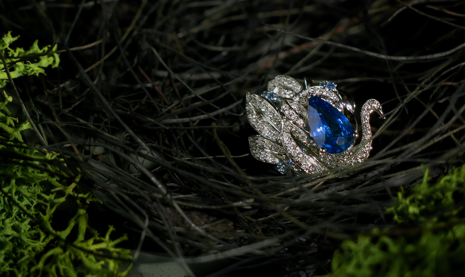 How an Aris Fine Studio Jewel Grows