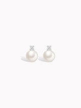 Dulce 18K White Gold Akoya Pearl Earrings